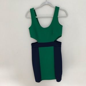 Pitaya Green and Navy Bodycon Dress